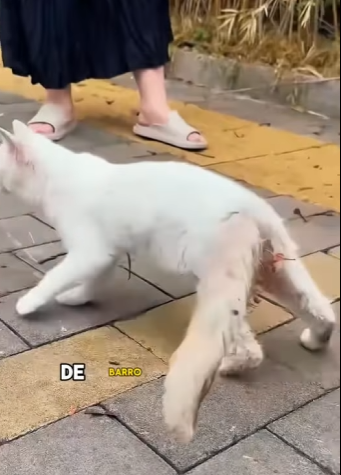 A0202007 Una nueva oportunidad comenzo hoy (Parte 2)