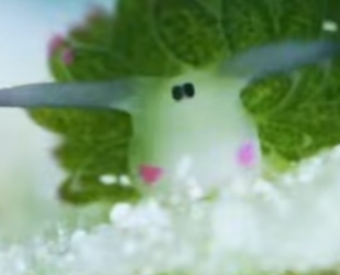 L0202003 El cuidado trajo tranquilidad (Parte 2)