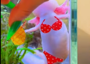 L0202002 La bondad llego primero (Parte 2)