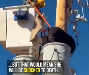 I0102010 Good job on saving her life (Part 2)