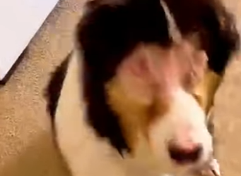 She slowly transforms because of rare (Part 2)