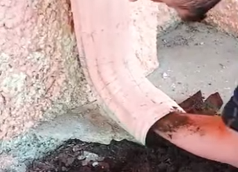 I0202010 They expected something completely different to co (Part 2)