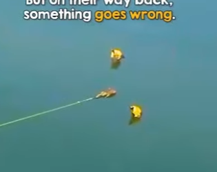 I0202012 way he comforts her during rescue (Part 2)