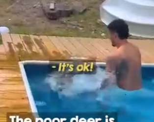 I0102007 He didn waste any time (Part 2)