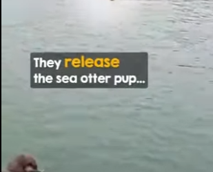 Thank you reuniting baby mama (Part 2)