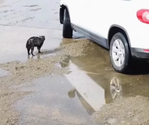 R0601005 Maggie tuvo una experiencia dolorosa menudo tenía pesadillas (Parte 2)