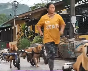 A0402004 man dog who saved each other (Parte 2)