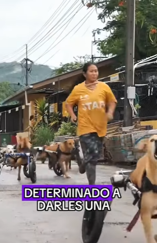 A0402004 man dog who saved each other (Parte 2)