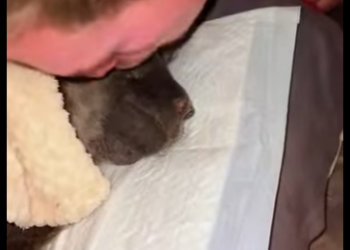 A0402003 Wonderful friendship (Parte 2)