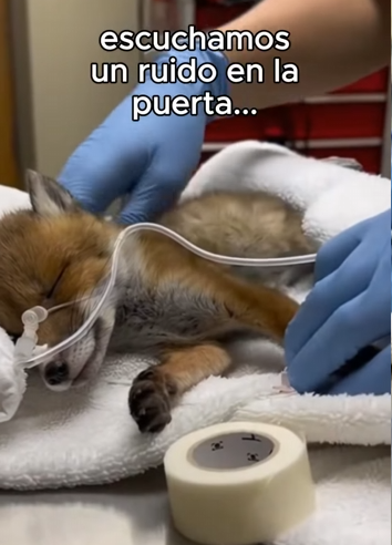 O3101001 Un nuevo comienzo comenzo (Parte 2)