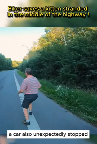 C0202011 From fear into patient safety (Part 2)