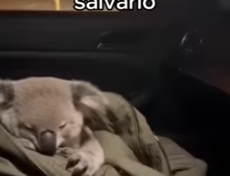 O0602012 Corrí Entre El Fuego Para Salvarlo (Parte 2)