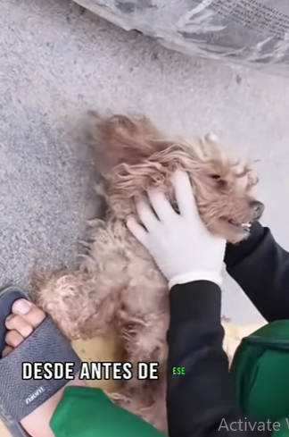 M0602001 Me tiraron desde un carro solo por dar Amor (Parte 2)