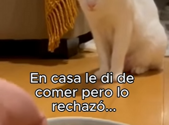 O3101007 Hoy se salvo una vida (Parte 2)