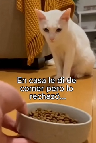 O3101007 Hoy se salvo una vida (Parte 2)