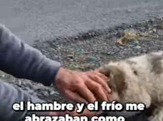 M0602013 Me botaron solo por nacer así (Parte 2)