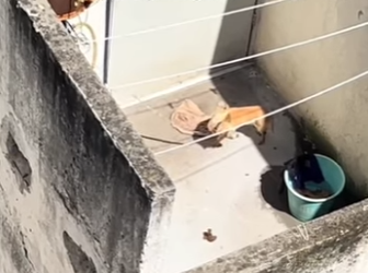 M0602008 El sol quema, la sed duele aún espero que alguien me vea (Parte 2)