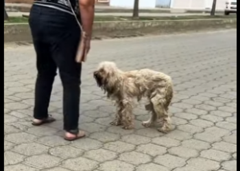 M0602010 Me llamo Basura,fuy despreciada como si no valiera nada (Parte 2)