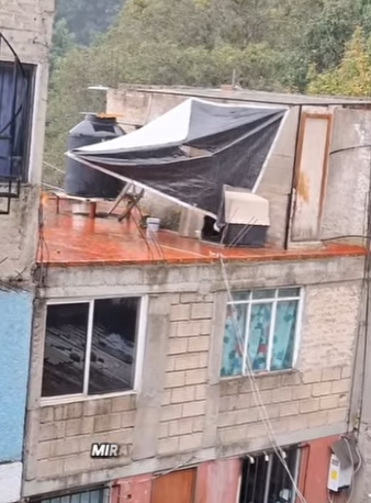 M0602005 Cada día llueve sobre mí nadie viene salvarme De (Parte 2)