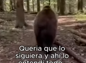 O3101005 El rescate ofrecio descanso (Parte 2)