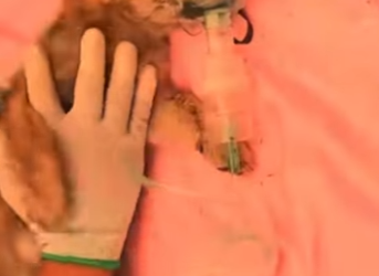 M0602011 Solo por romper un vaso de Cristal (Parte 2)