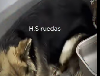 V0602001 estaba punto de ser enviado al otro lado hasta que llegó un angel (Part 2)