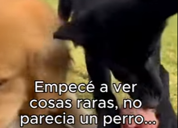 O3101003 Manos solidarias eligieron ayudar (Parte 2)