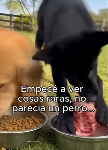 O3101003 Manos solidarias eligieron ayudar (Parte 2)