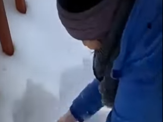 V0602010 estos gatos no les fue muy bien con la nieve (Parte 2)