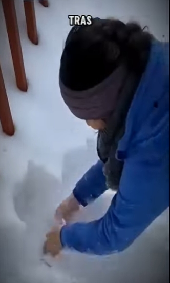 V0602010 estos gatos no les fue muy bien con la nieve (Parte 2)