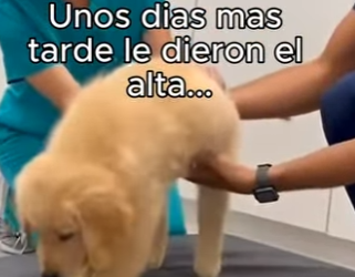 O3101006 La bondad encontro su lugar (Parte 2)