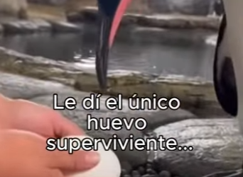 O3101002 El amor se convirtio en accion (Parte 2)