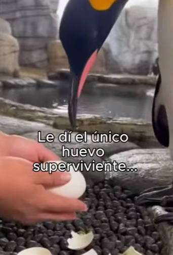 O3101002 El amor se convirtio en accion (Parte 2)