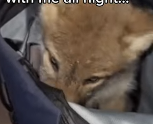 P0302004 She Back Where She Belongs (Part 2)