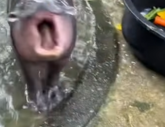 A0202005 Donde habia peligro ahora hay proteccion (Parte 2)