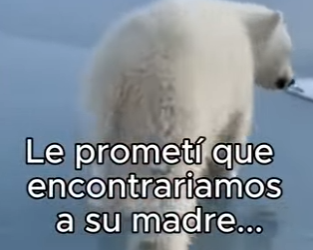 O3101009 De la confusion a la seguridad (Parte 2)