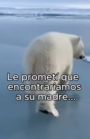 O3101009 De la confusion a la seguridad (Parte 2)