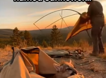 P0502003 Cried After Seeing Ending (Part 2)