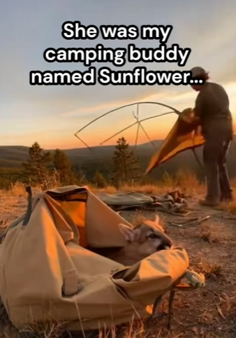 P0502003 Cried After Seeing Ending (Part 2)