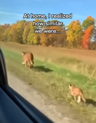 P0502009 Man has strangest bond (Part 2)