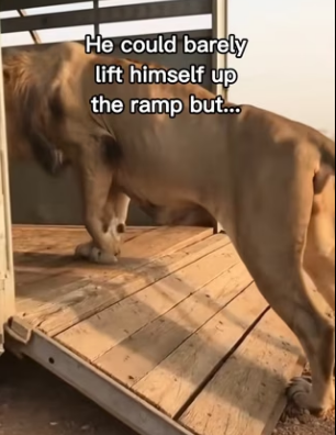 P0502006 Wait till end! (Part 2)