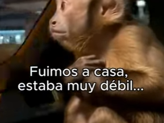 O3101012 La ayuda llego con respeto (Parte 2)