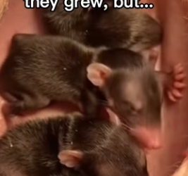 P0502005 My heart can take (Part 2)