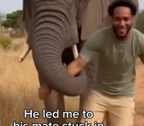 P0502007 Mate did everything he can to save her (Parte 2)