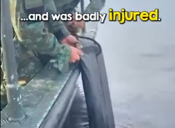 I2801010 Thank you helping beautiful creature (Part 2)