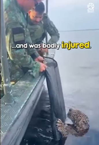 I2801010 Thank you helping beautiful creature (Part 2)