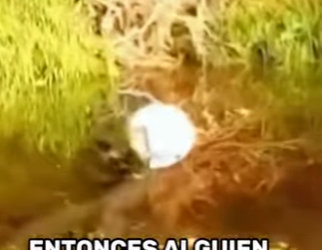 A0502007 Follow me on to discover truth behind video (Parte 2)