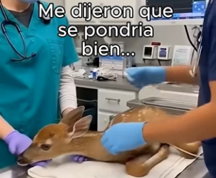 O3101008 El cuidado abrio un nuevo camino (Parte 2)