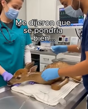 O3101008 El cuidado abrio un nuevo camino (Parte 2)