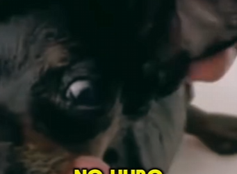 M0202004 El rescate devolvio la confianza (Parte 2)